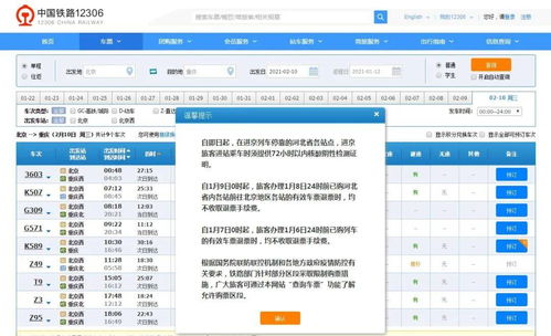 除夕火车票今日开售 回家的人,记住这几件事